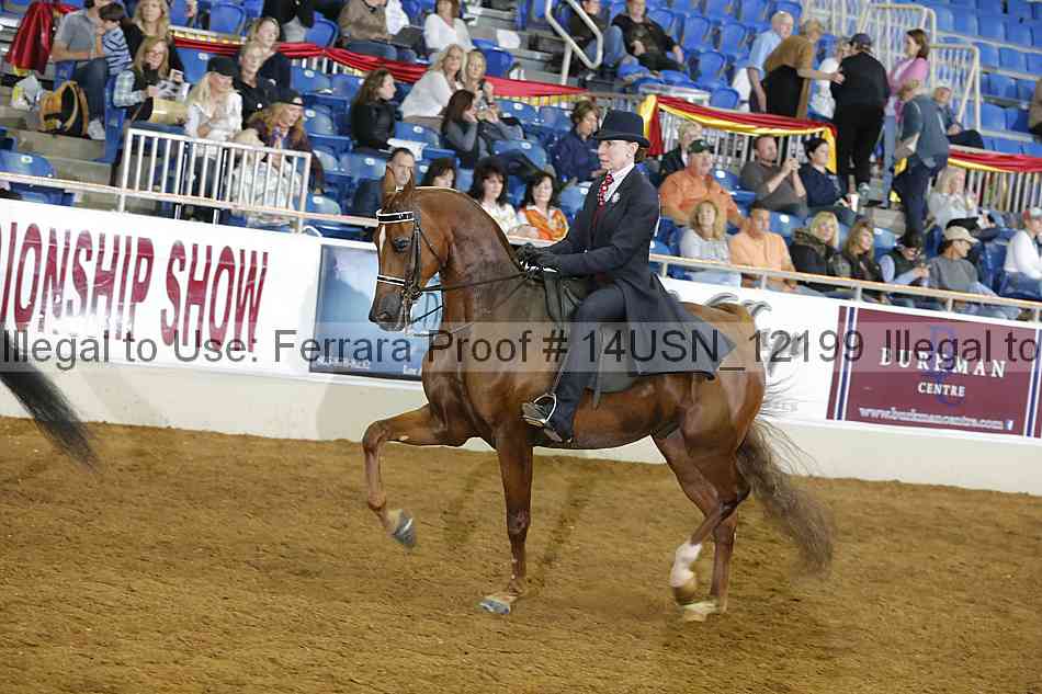 Proof 14usn_12199