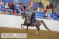 14usn_12202 proof