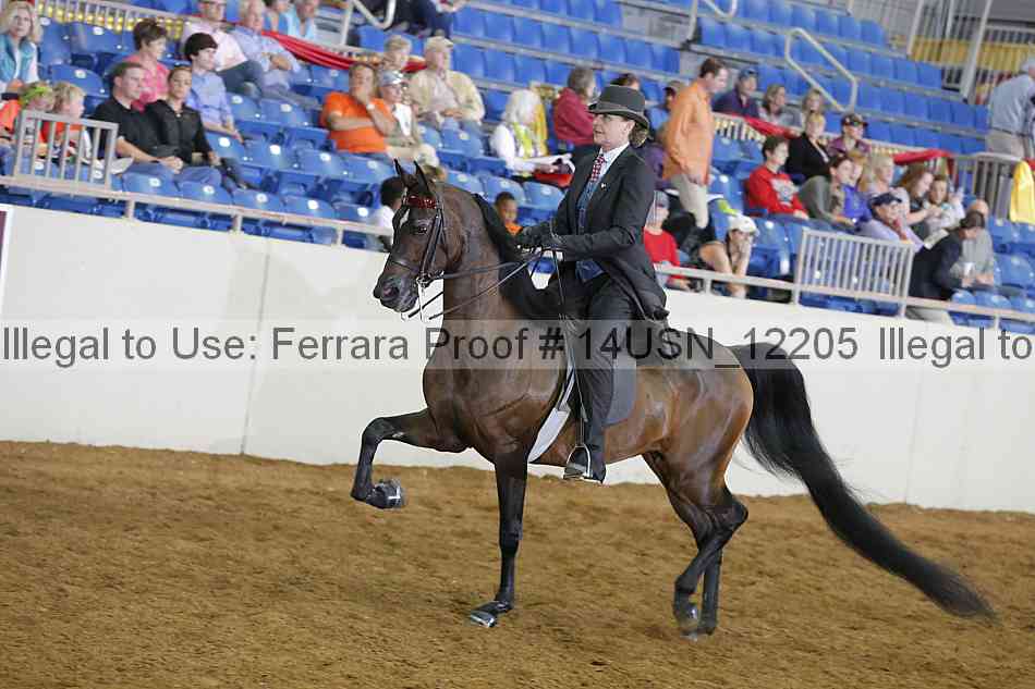 Proof 14usn_12205