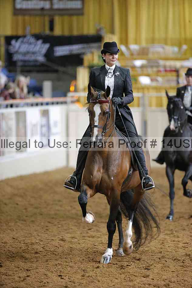Proof 14usn_12206