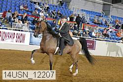 14usn_12207 proof