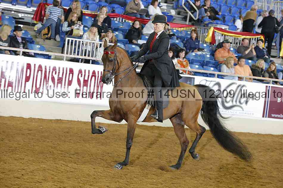 Proof 14usn_12209