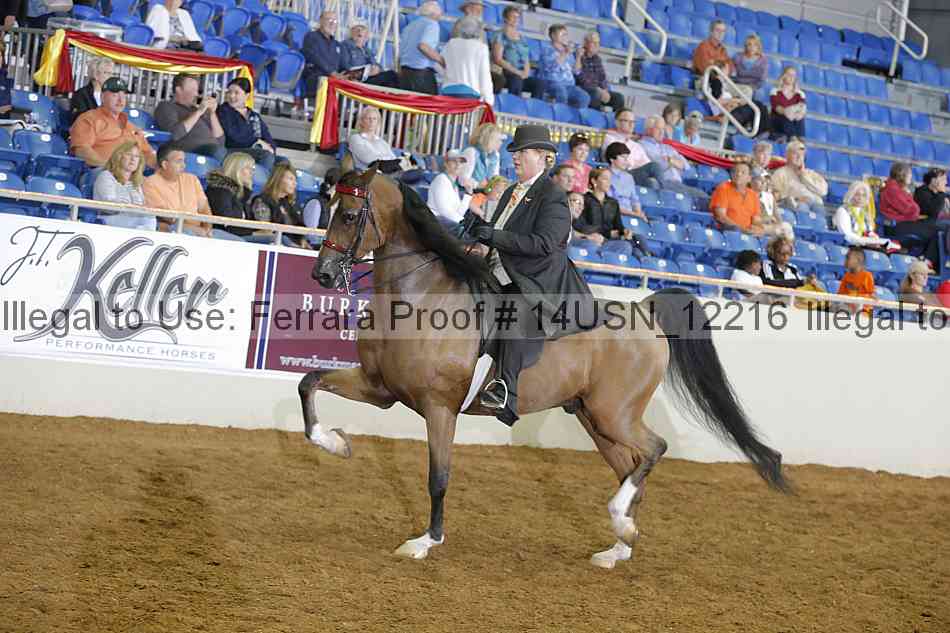 Proof 14usn_12216