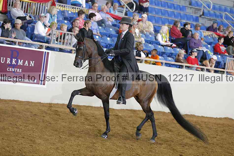 Proof 14usn_12217