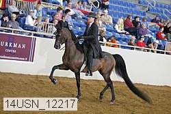 14usn_12217 proof