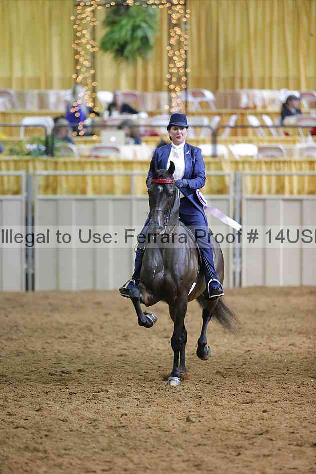Proof 14usn_12218