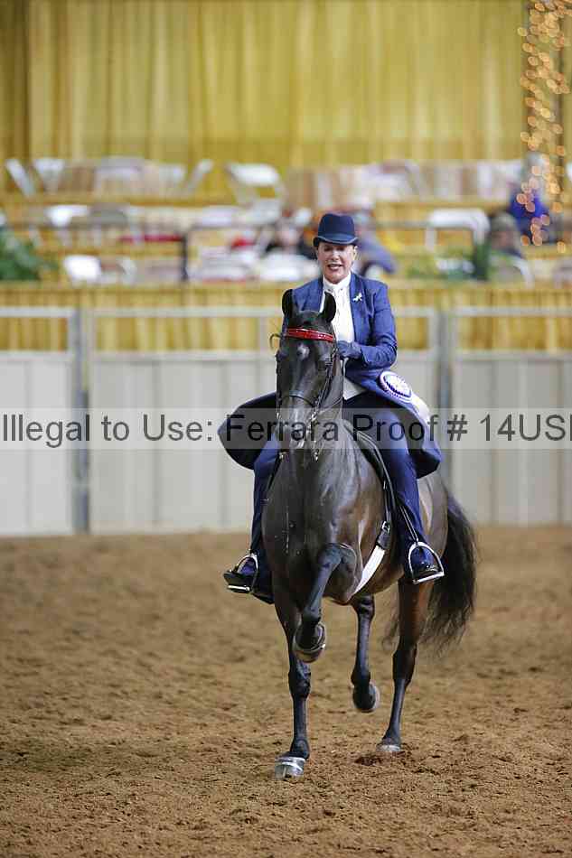 Proof 14usn_12219