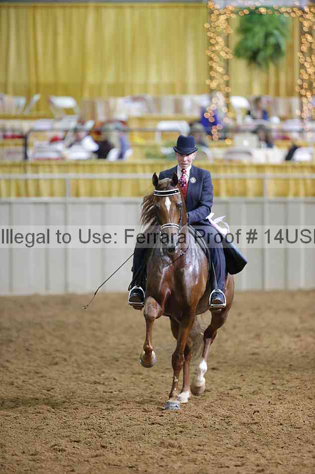 Proof 14usn_12235