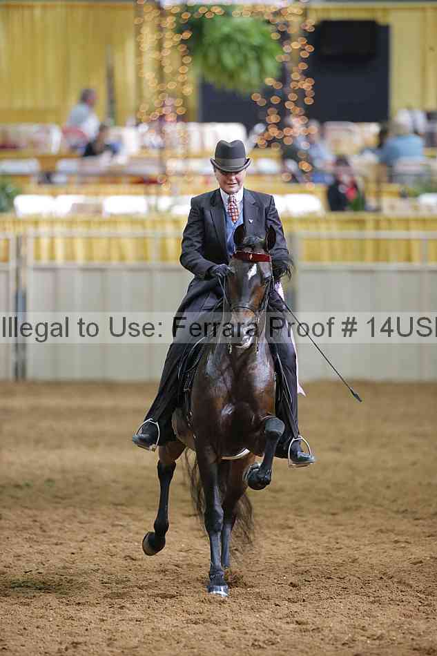 Proof 14usn_12258