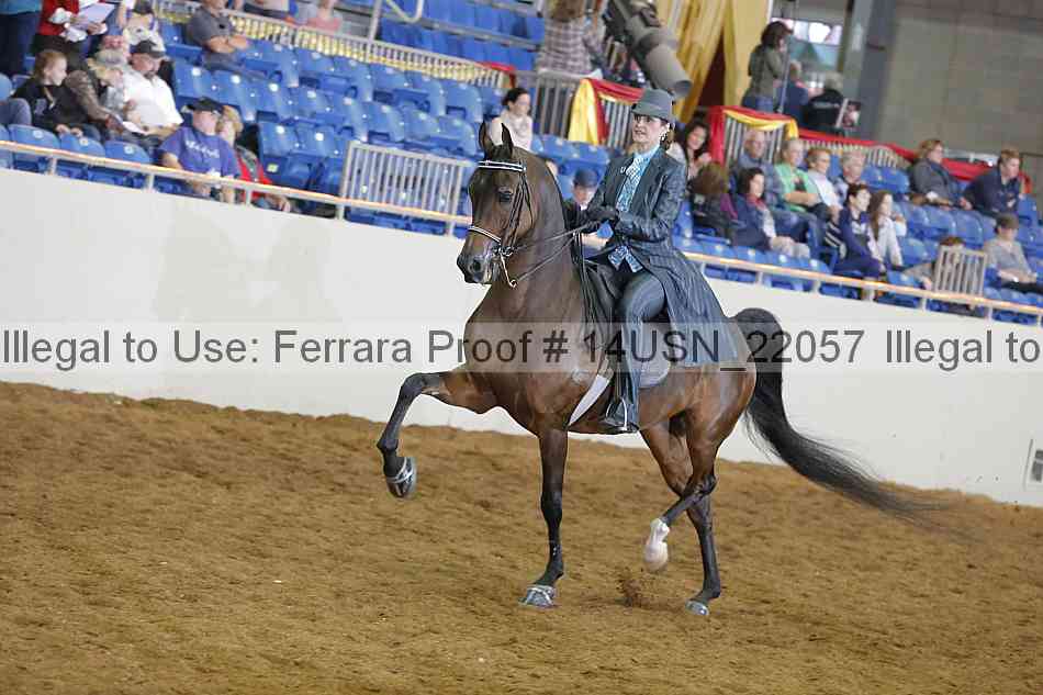 Proof 14usn_22057