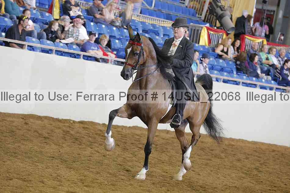 Proof 14usn_22068