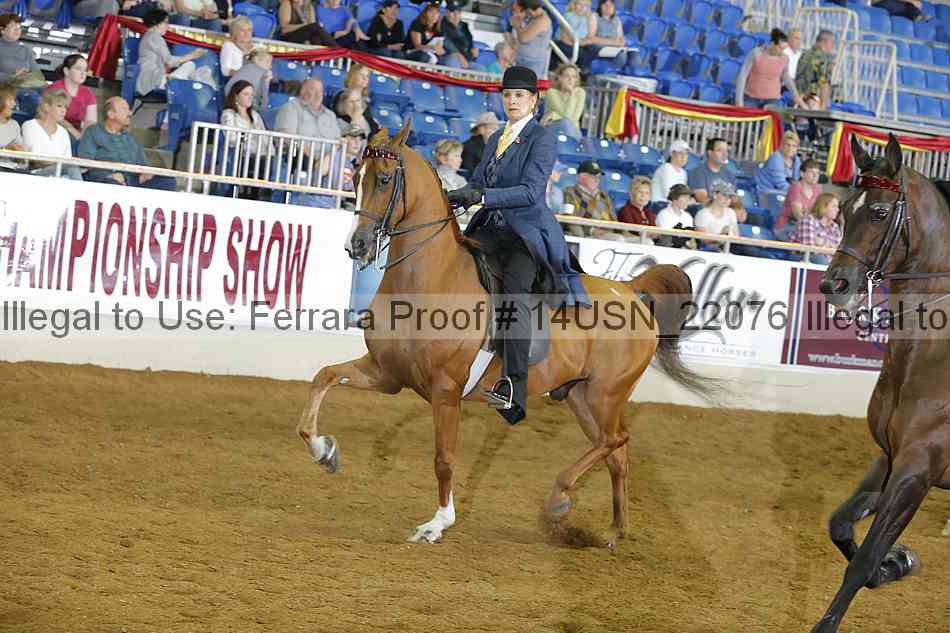 Proof 14usn_22076