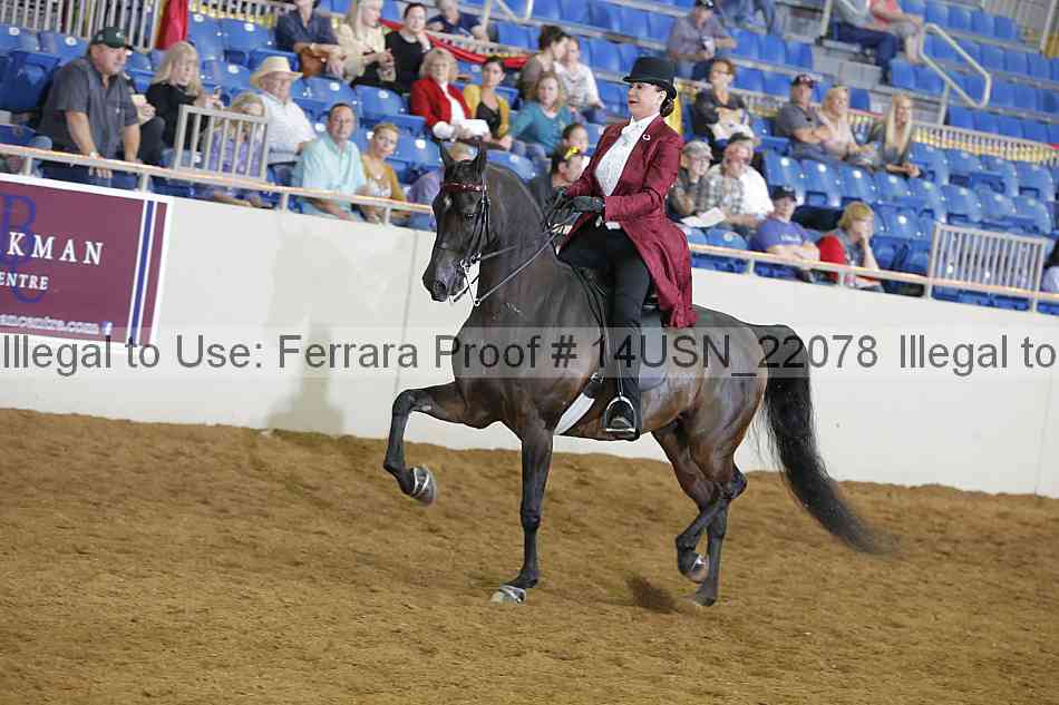 Proof 14usn_22078