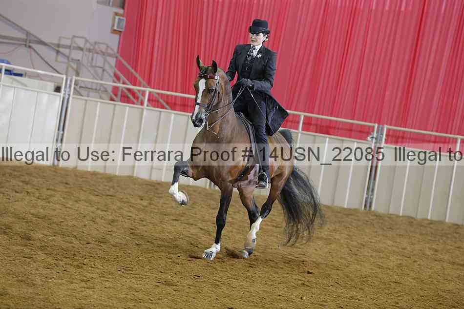 Proof 14usn_22085