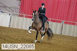 14usn_22085 proof
