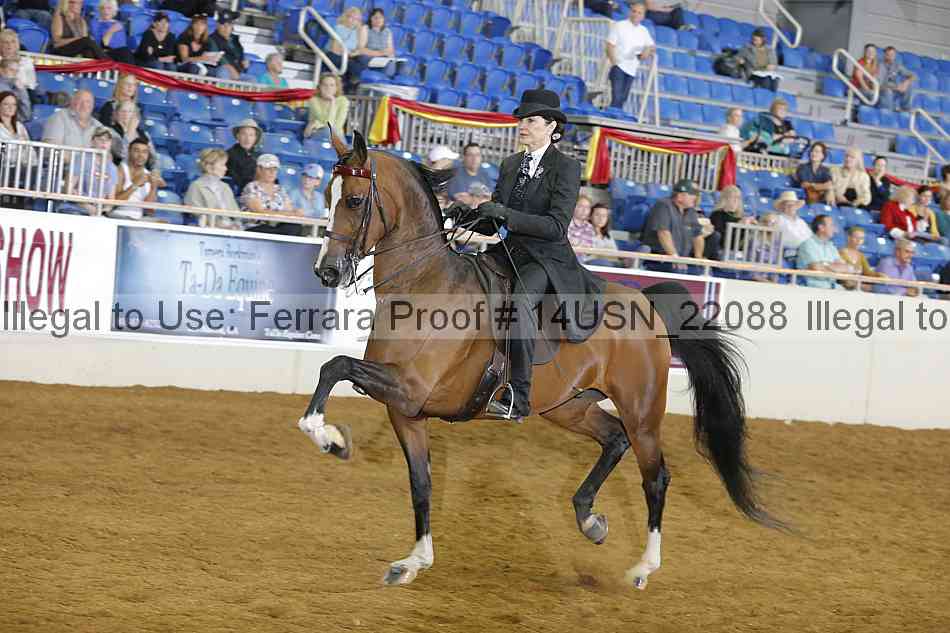 Proof 14usn_22088