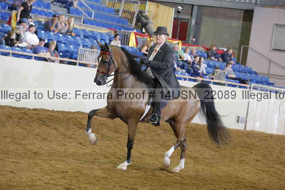 Proof 14usn_22089