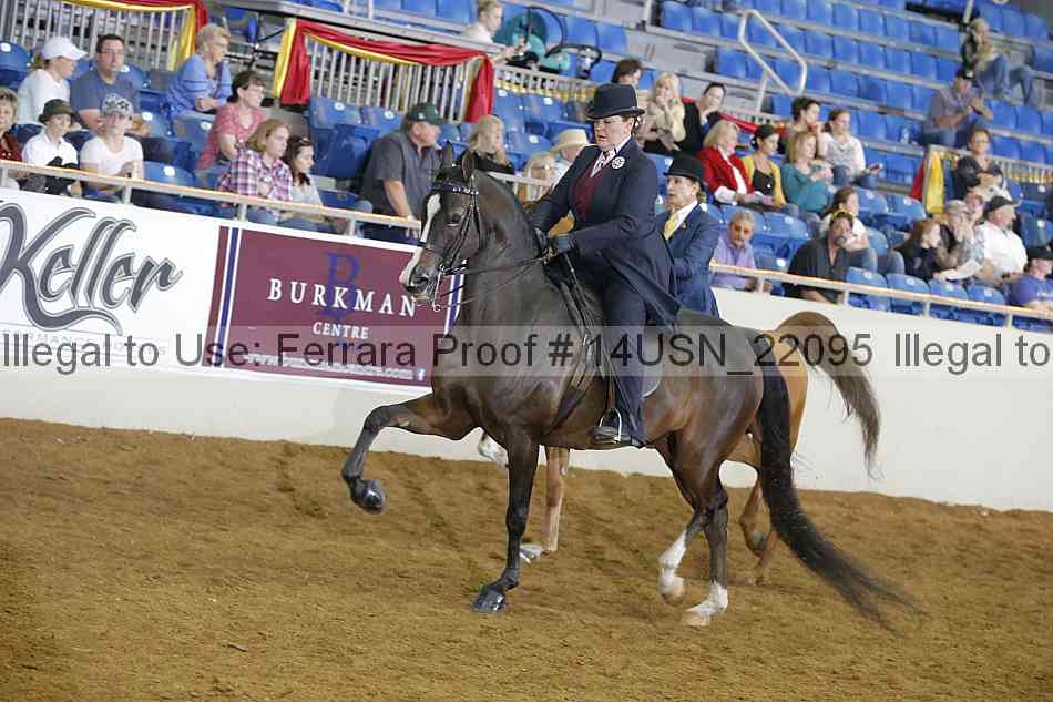 Proof 14usn_22095