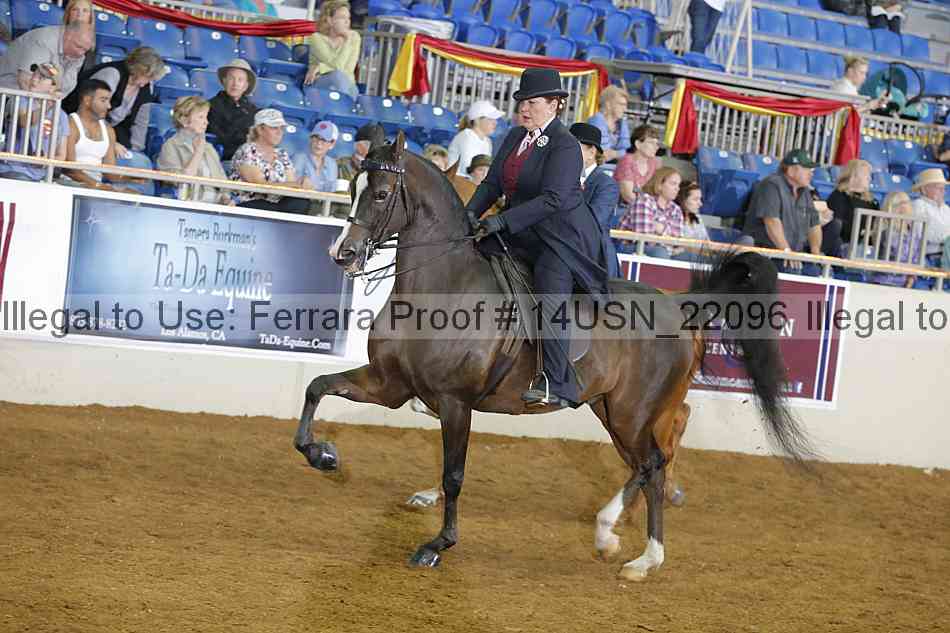 Proof 14usn_22096