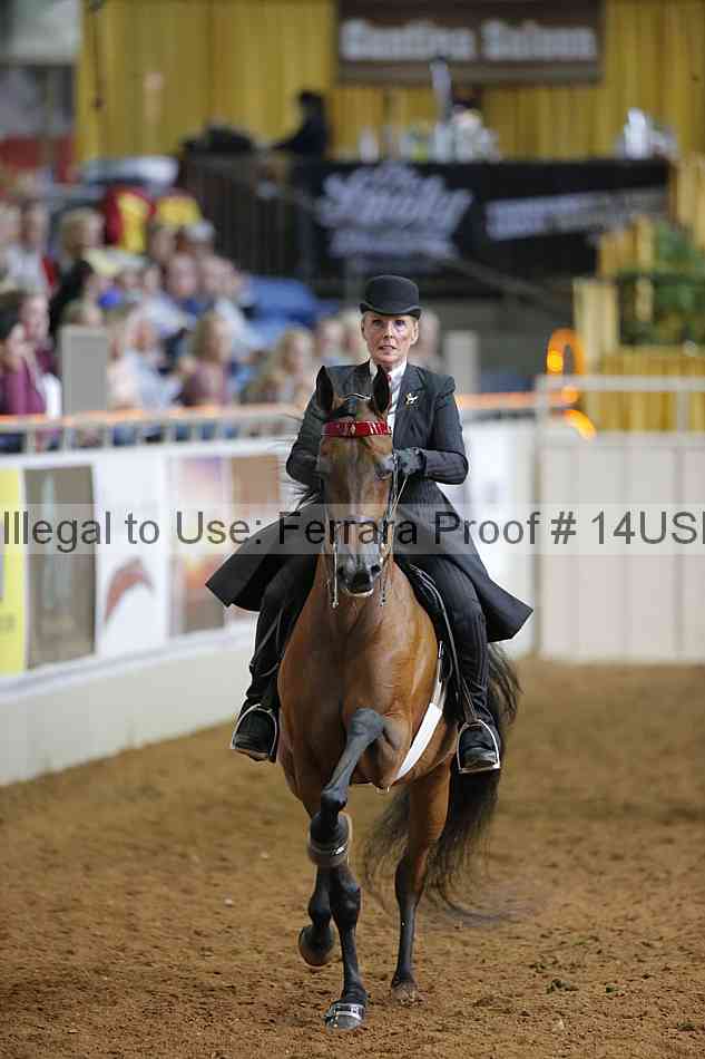 Proof 14usn_22097