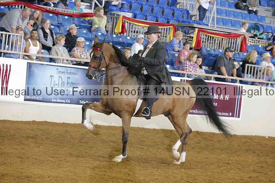 Proof 14usn_22101