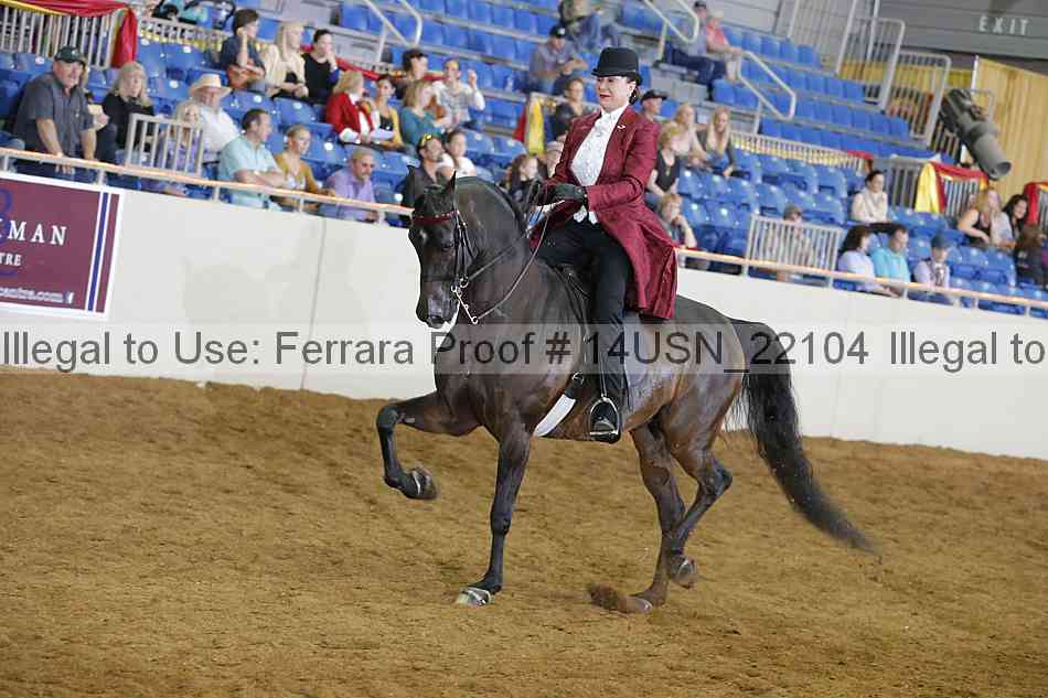 Proof 14usn_22104