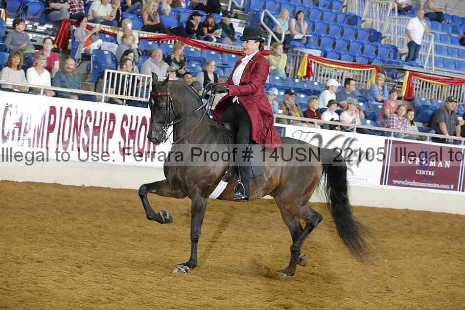 Proof 14usn_22105