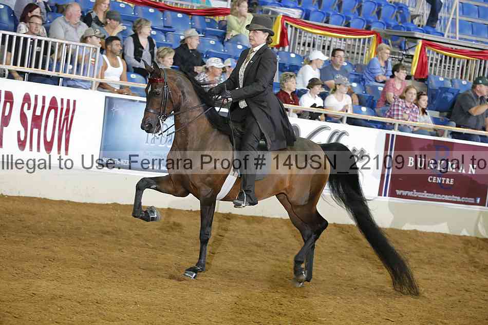 Proof 14usn_22109