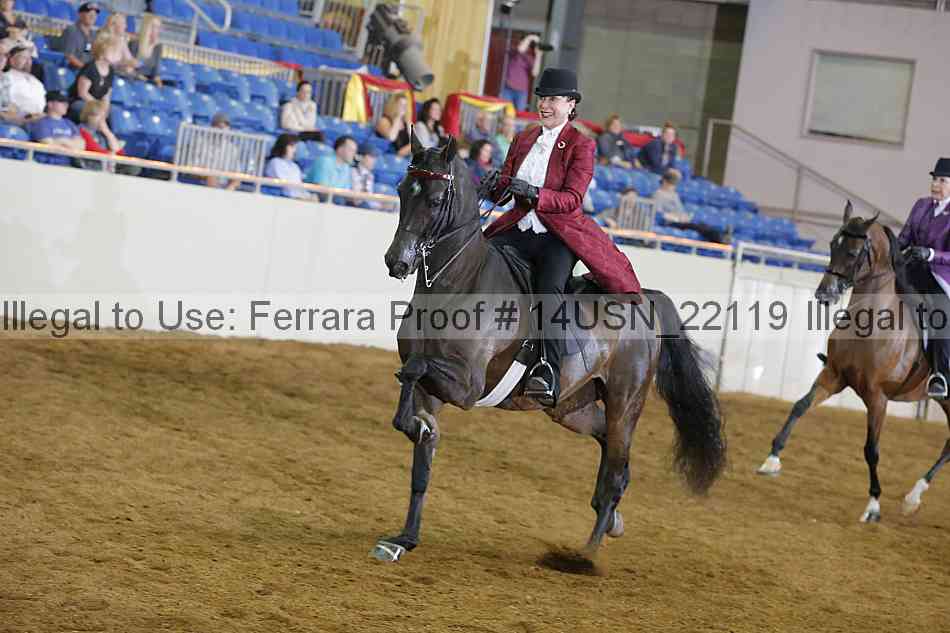 Proof 14usn_22119