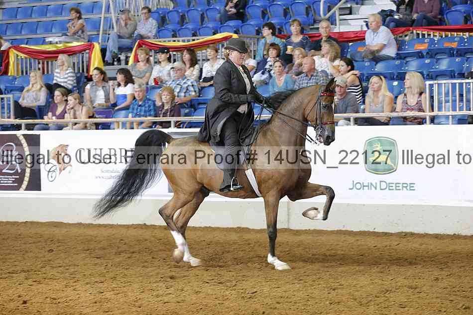 Proof 14usn_22127