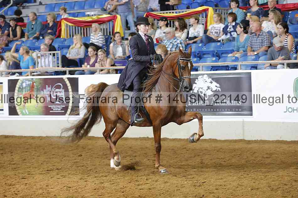 Proof 14usn_22149