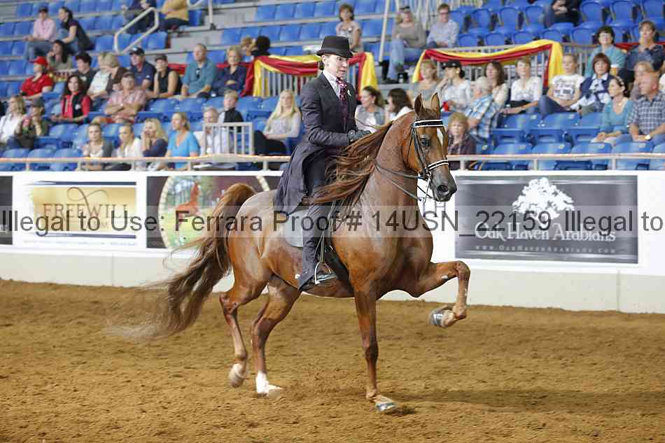 Proof 14usn_22159