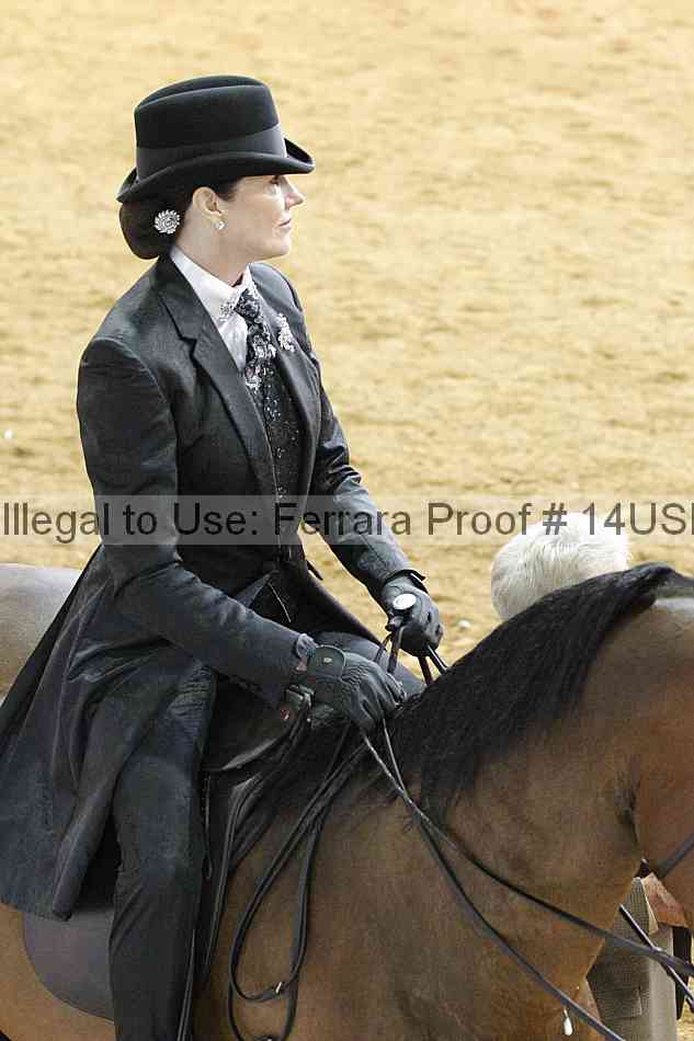 Proof 14usn_22165