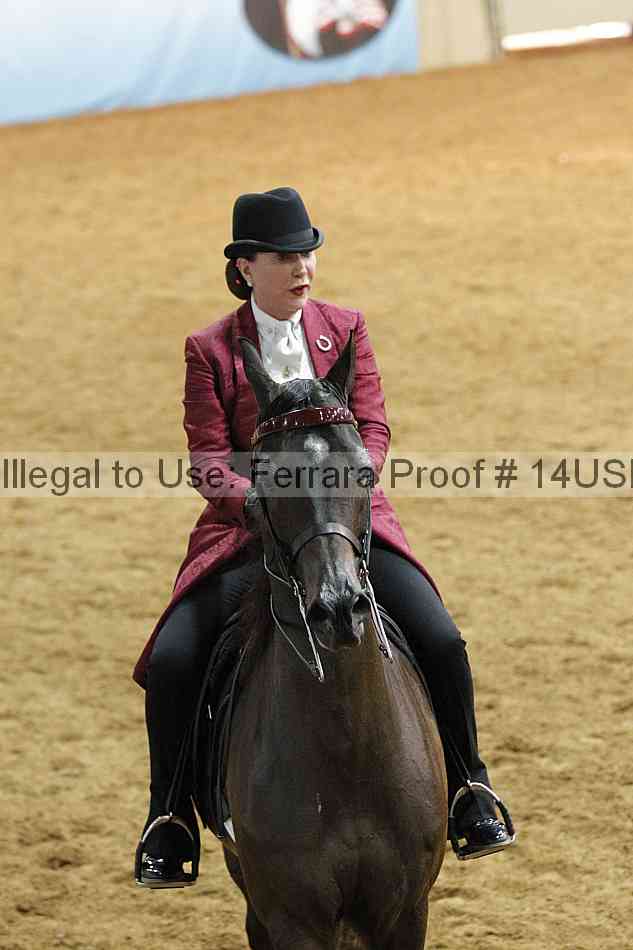 Proof 14usn_22168
