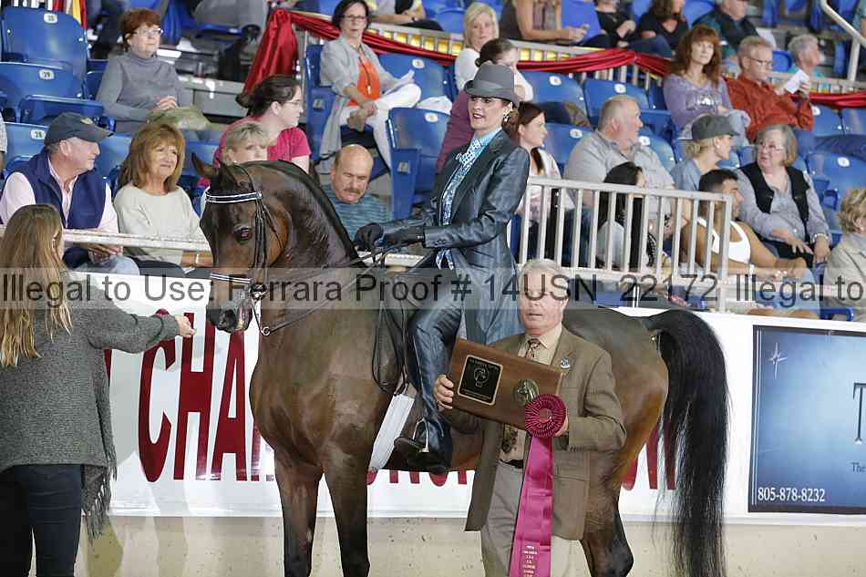 Proof 14usn_22172
