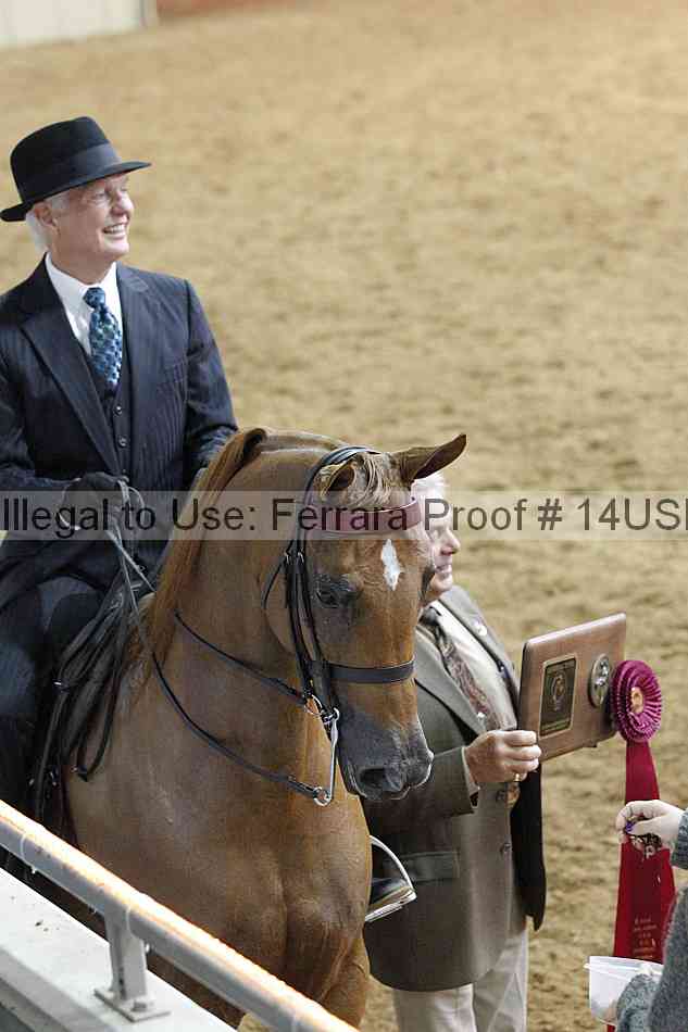 Proof 14usn_22178