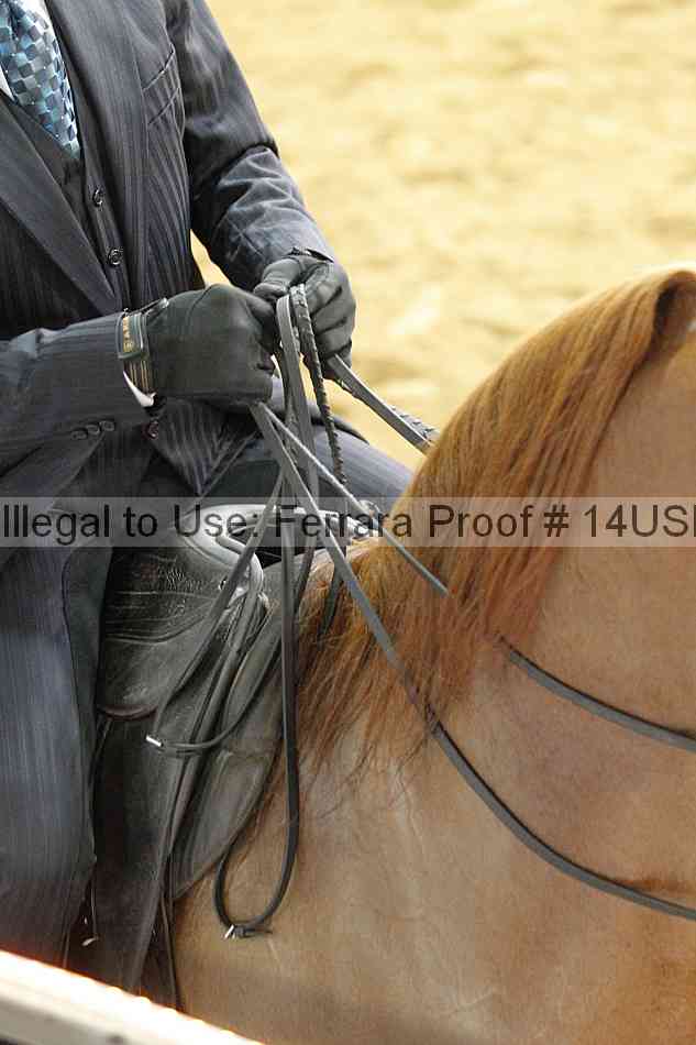 Proof 14usn_22181
