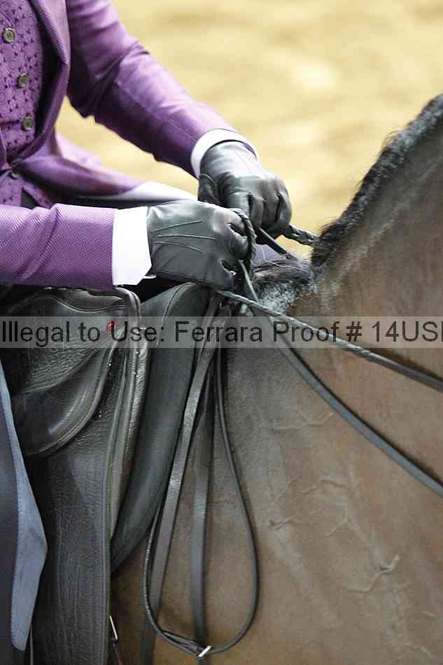 Proof 14usn_22188