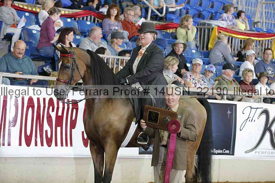 Proof 14usn_22190