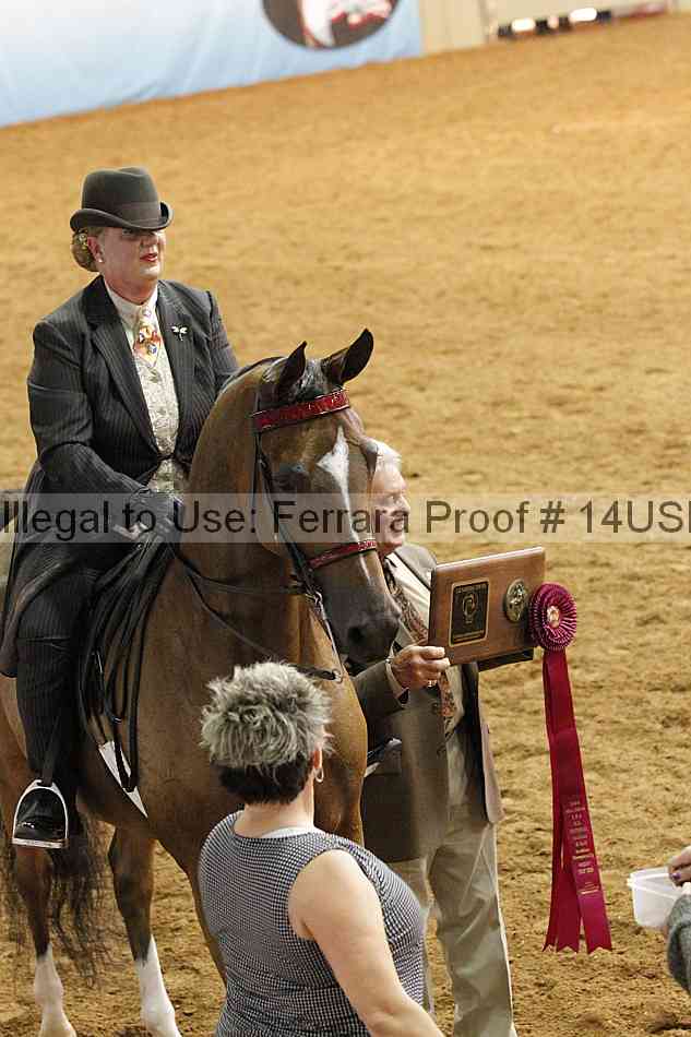 Proof 14usn_22191