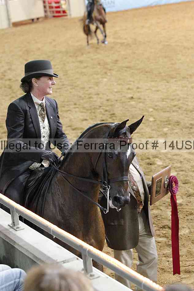 Proof 14usn_22195