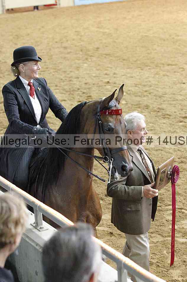 Proof 14usn_22198