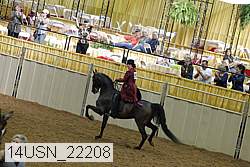 14usn_22208 proof