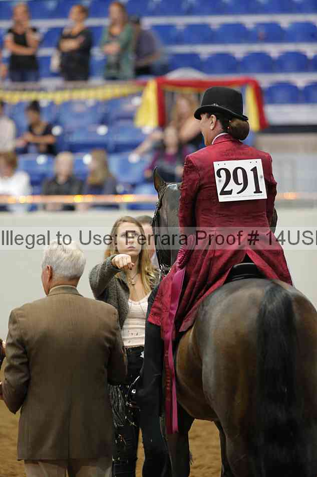 Proof 14usn_22217
