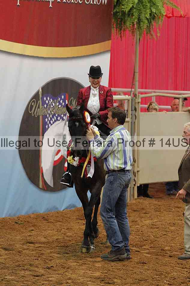 Proof 14usn_22226