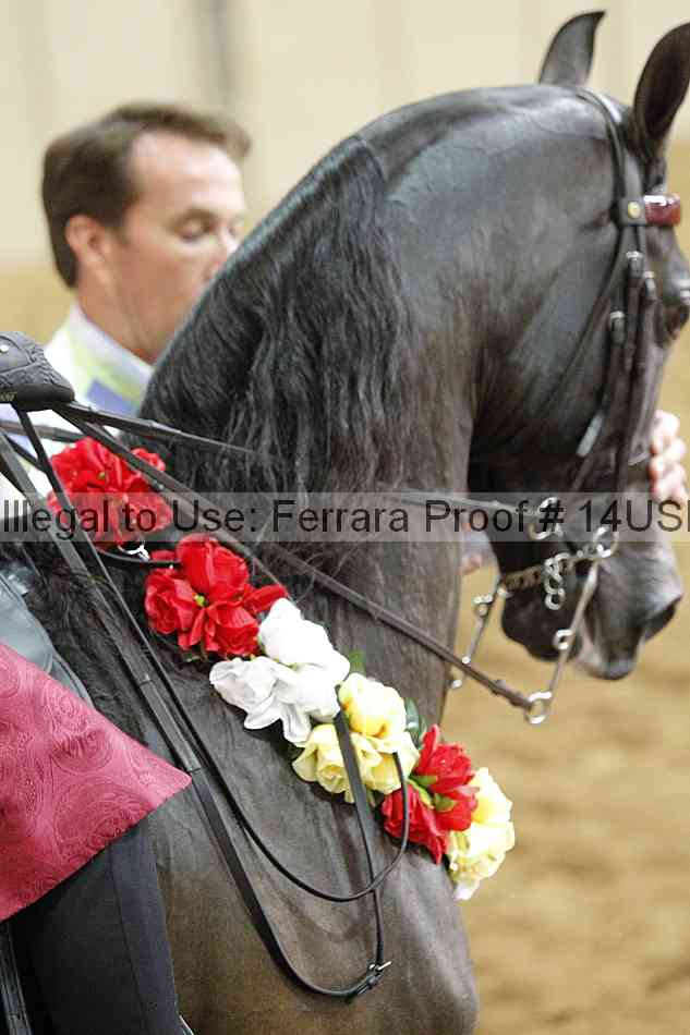 Proof 14usn_22231
