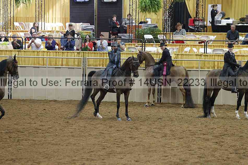Proof 14usn_22233