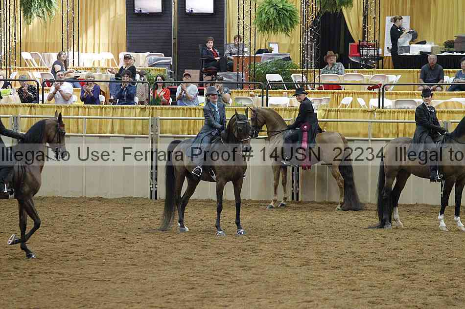 Proof 14usn_22234