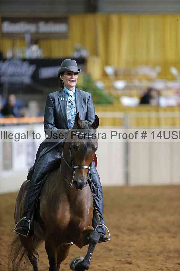Proof 14usn_22237
