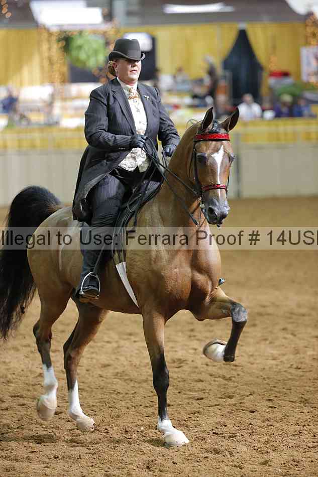 Proof 14usn_22302